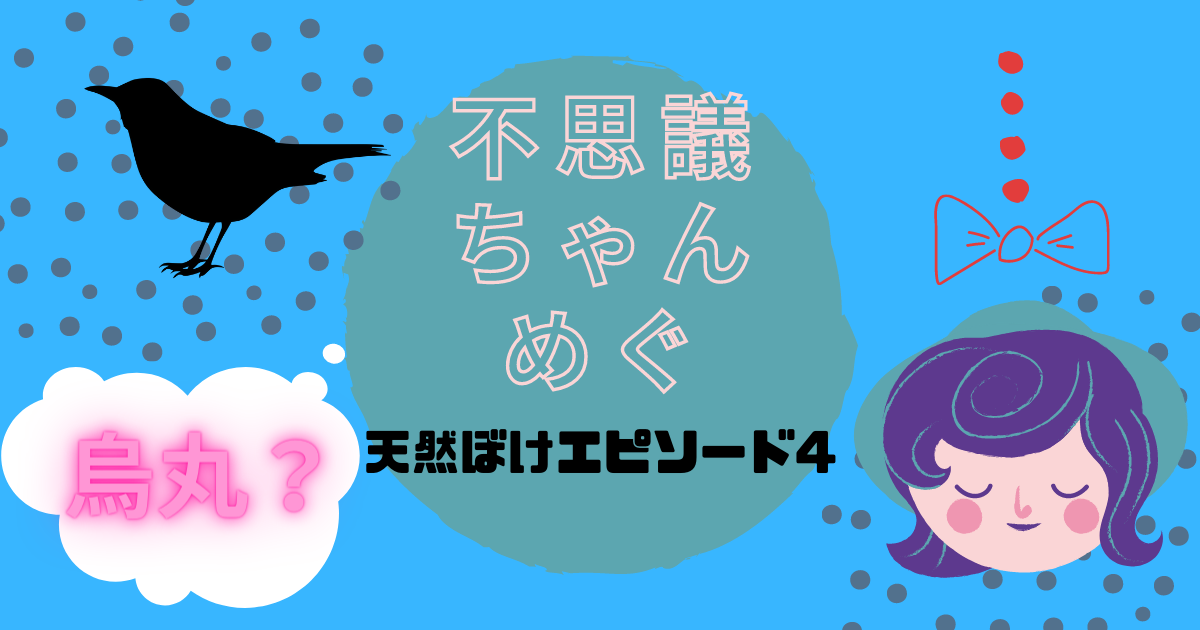 不思議ちゃんめぐ 天然ボケエピソード4 鳥森口の読み方は めぐmessage